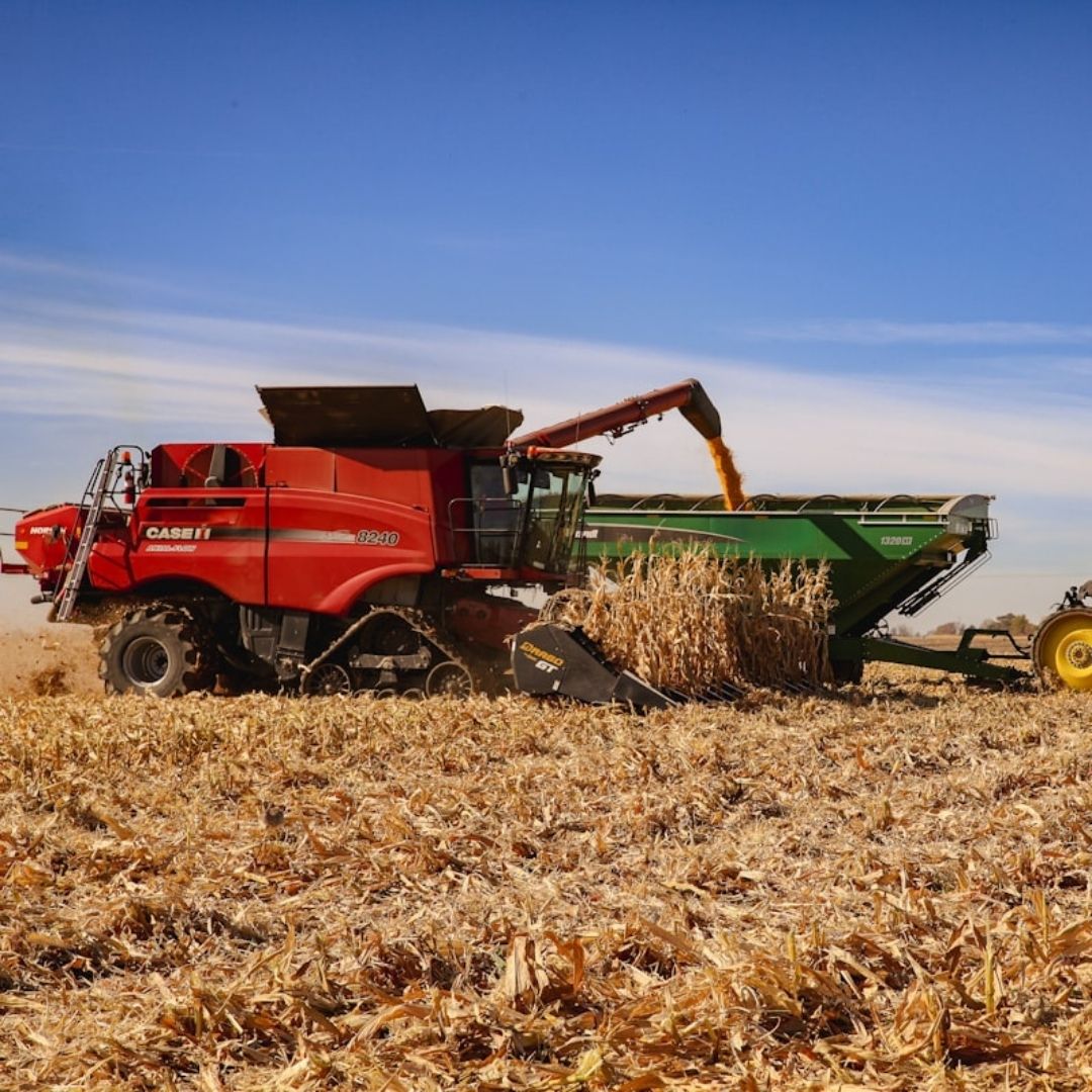 Farming equipment sprays grain into a large container