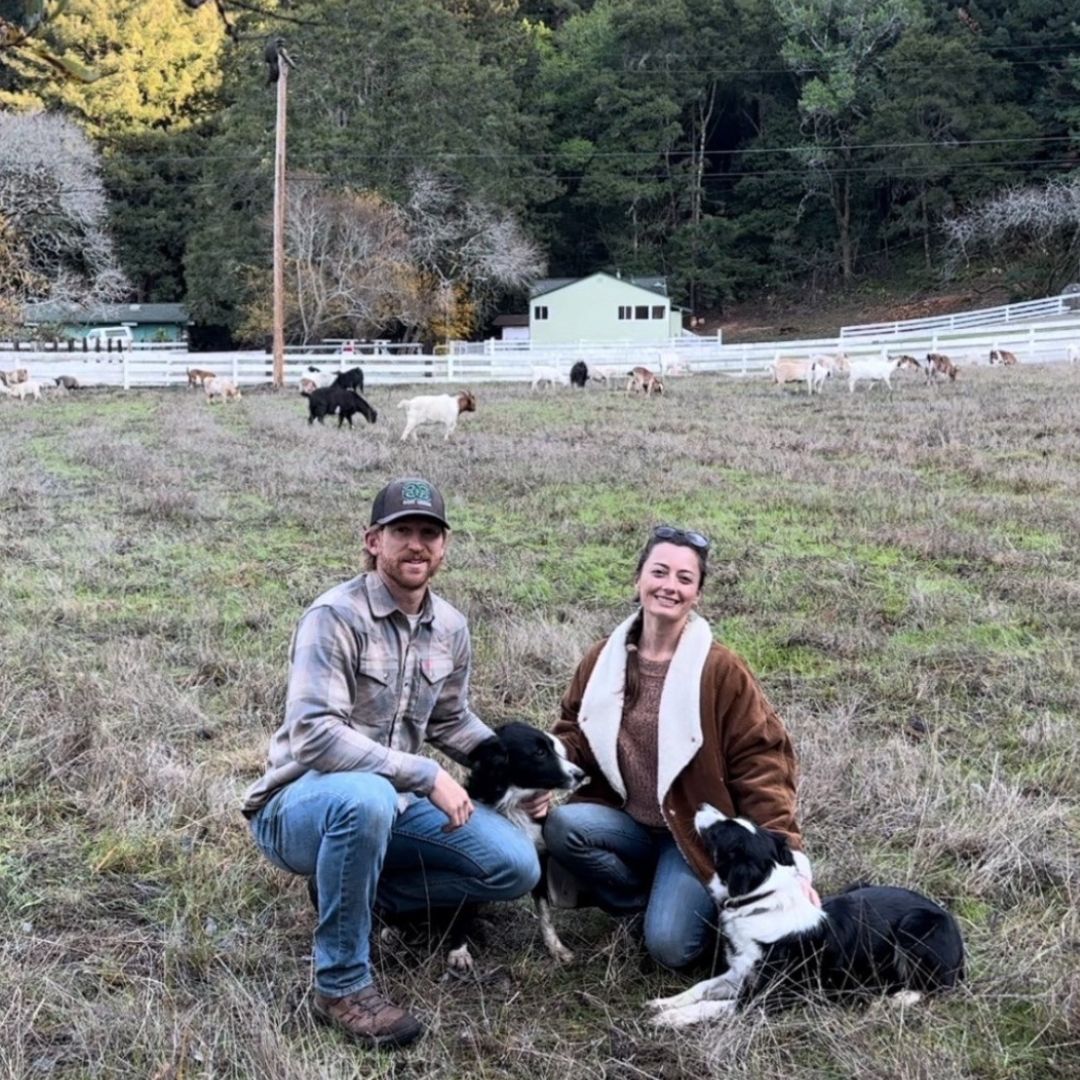 Two people sit on a farm with two dogs and goats in the background. 
