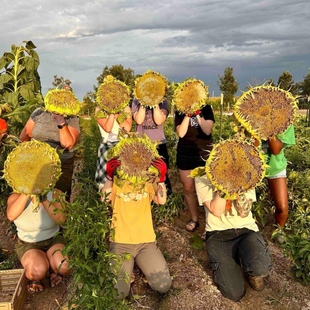 People pose for a picture on a farm while holding sunflowers in front of their faces. 