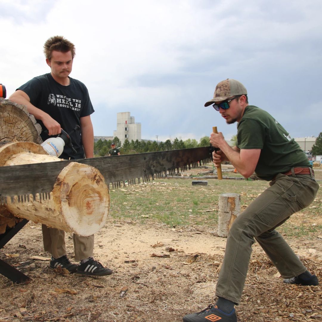 A student cuts a log with a large saw while another student watches