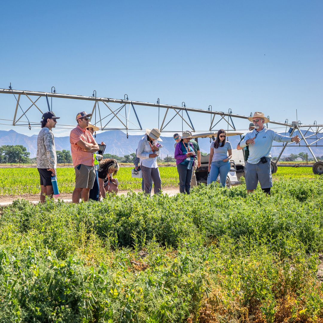 Students stand on a farm listening to a professor