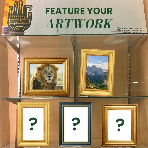 A display case with framed pictures