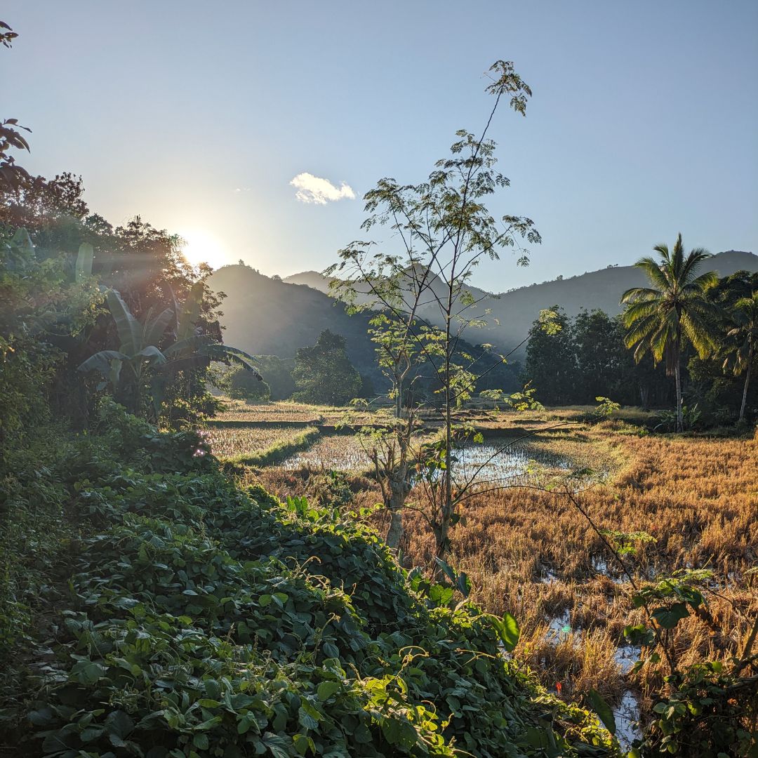 Landscape in Madagascar.